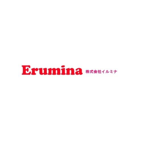 株式会社イルミナ